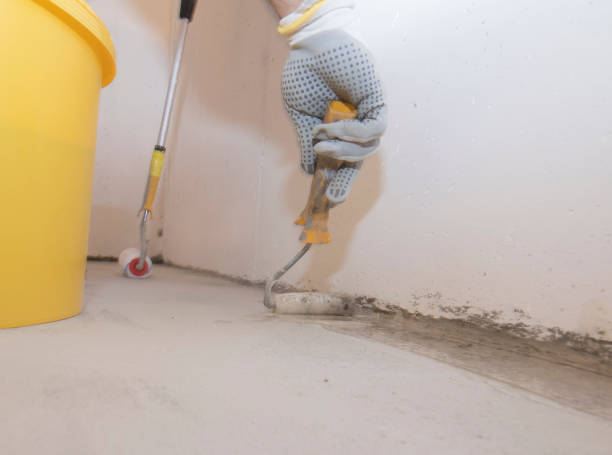 Best Termite Inspection and Treatment  in Brewster, WA